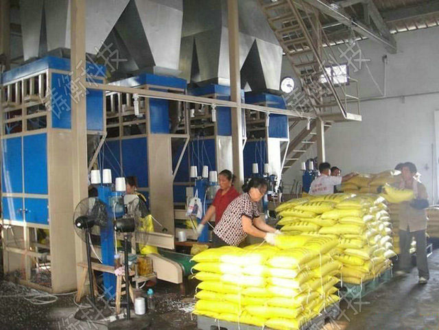 �o(w��)�C(j��)�ʶ������b��