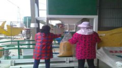 ���Ȱ��b�ӬF(xi��n)��(ch��ng)����